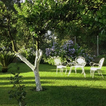 Casa Malu Boutique Apartments - No 1 Gouvia Dış mekan fotoğraf