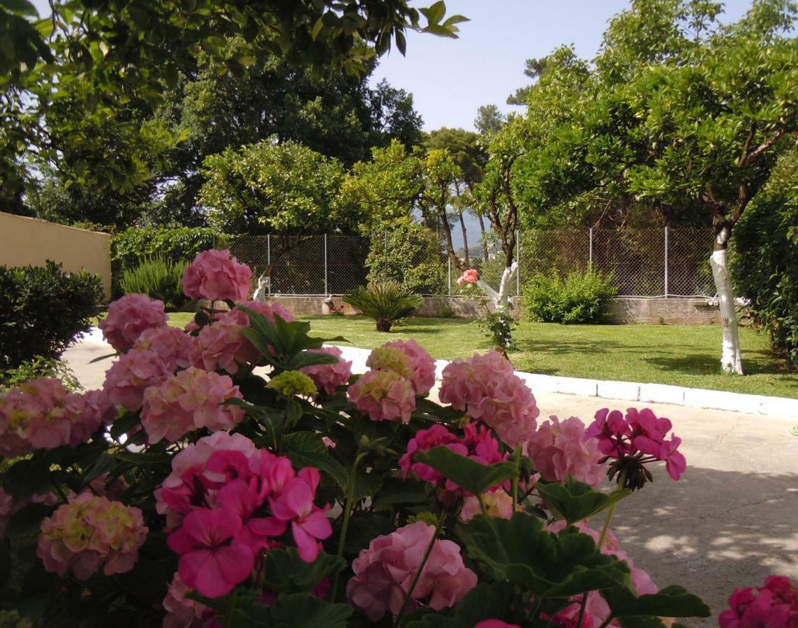 Casa Malu Boutique Apartments - No 1 Gouvia Dış mekan fotoğraf